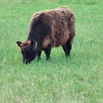 La Casa Bianca Feriehus *