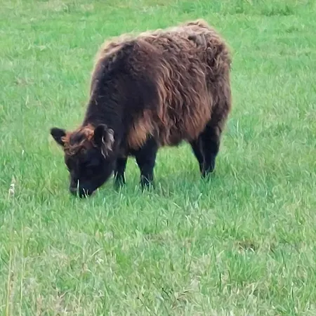 La Casa Bianca Dom wakacyjny *