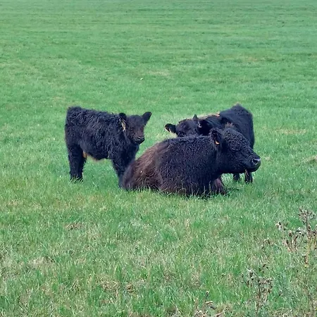 La Casa Bianca Lierneux