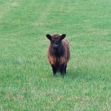 La Casa Bianca Lierneux
